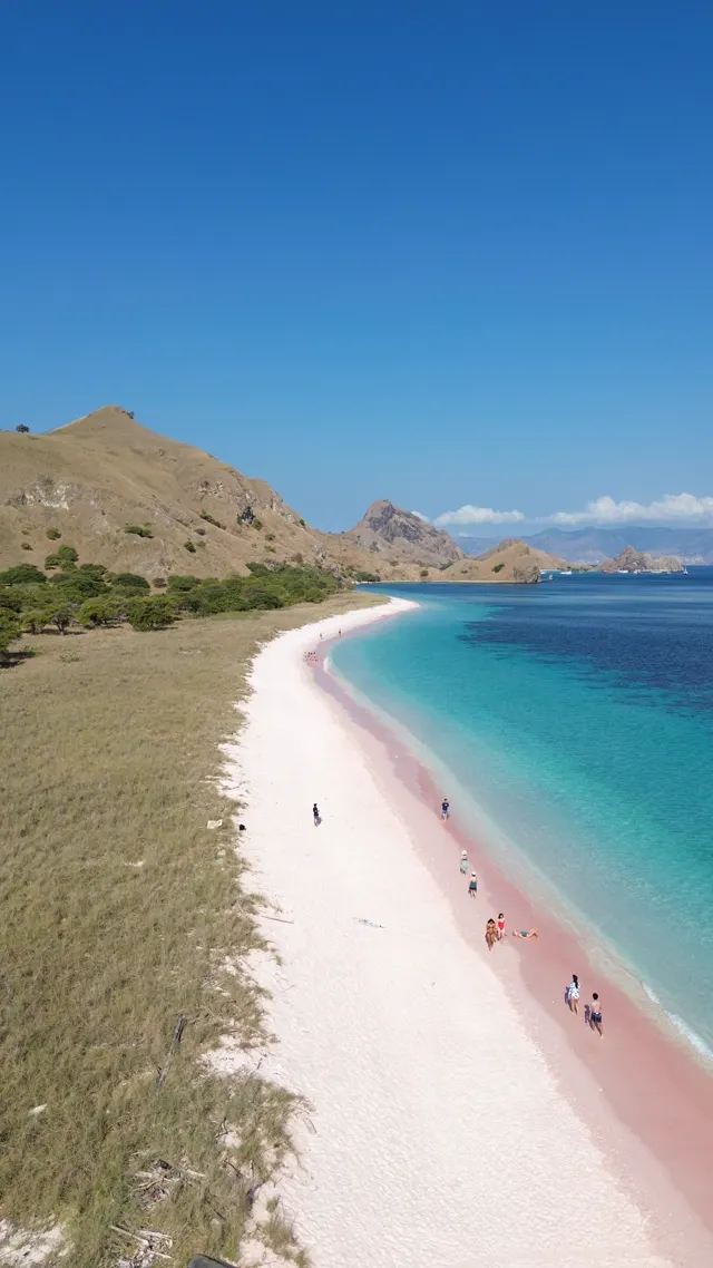 Private Speedboat Labuan Bajo — 6–10 Persons